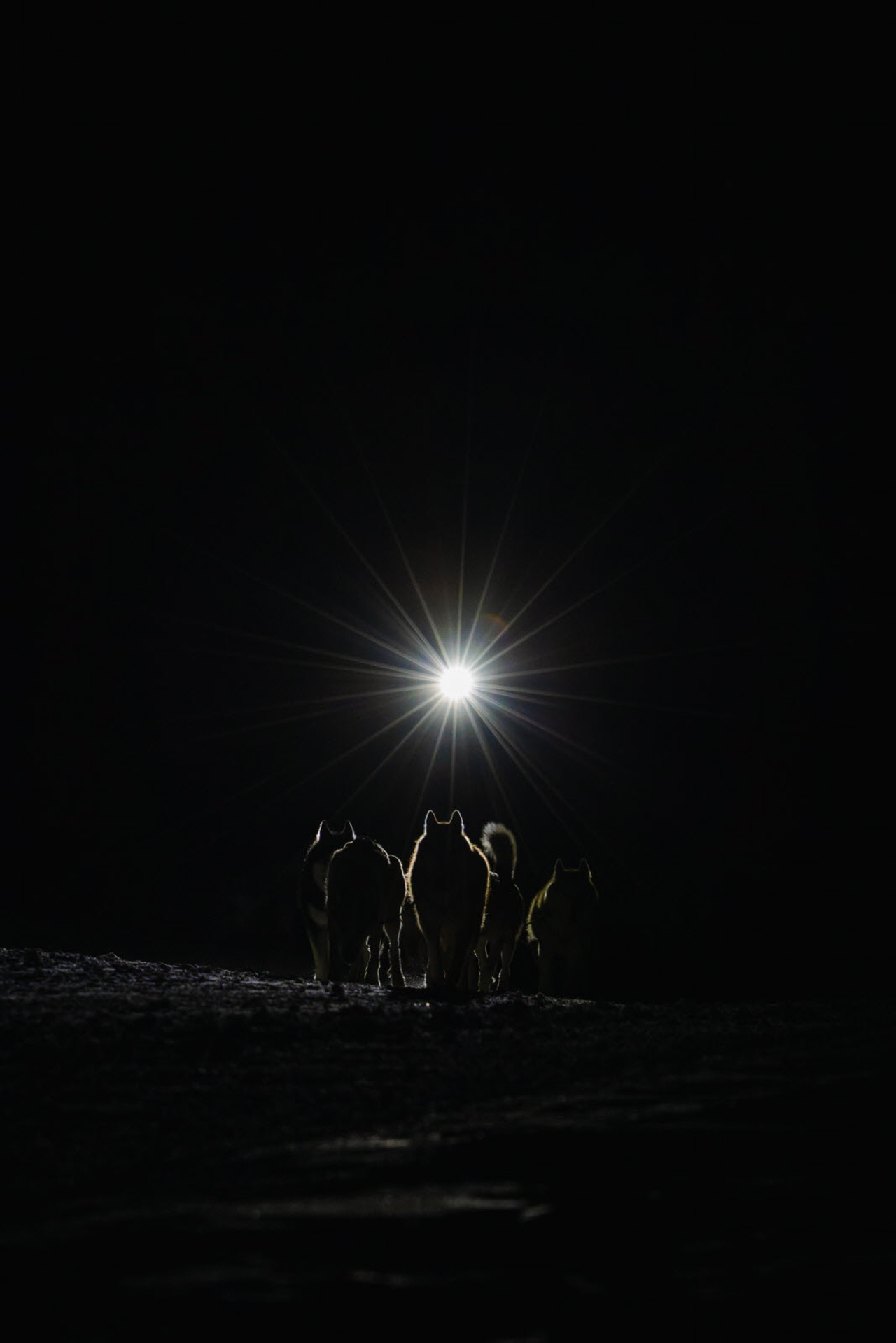 PresseLGO26-21.01-BaptisteAlonsoBraissand-6736 - Copie.jpg