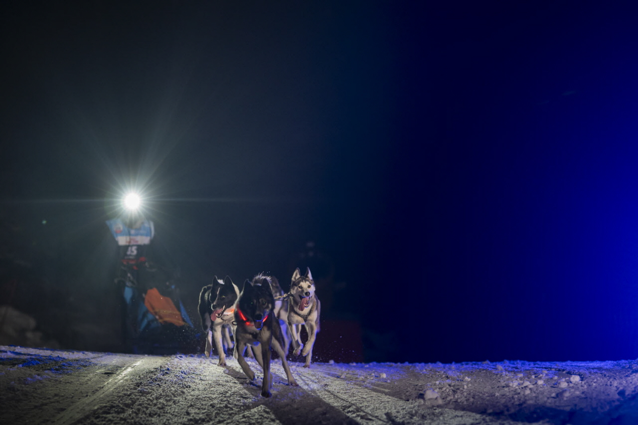 Presse LGO26 - 12.01.26 - Benoit Diacre - 20.jpg