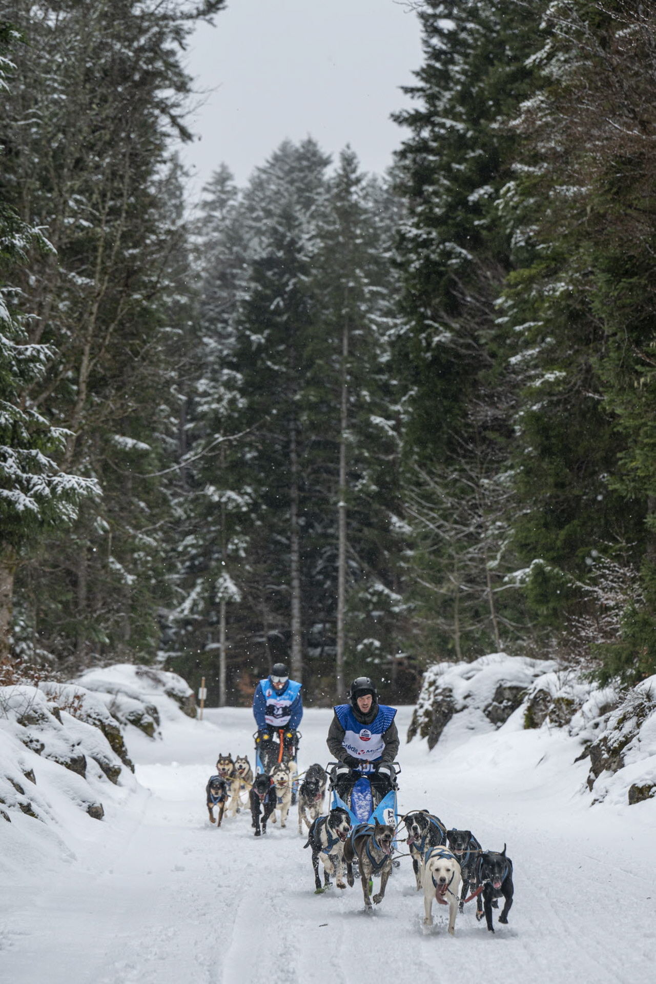 Presse LGO26 - 22.01.26 - Benoit Diacre - 5.jpg