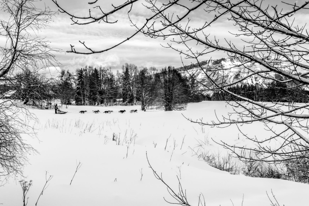 © Vincent Piccerelle