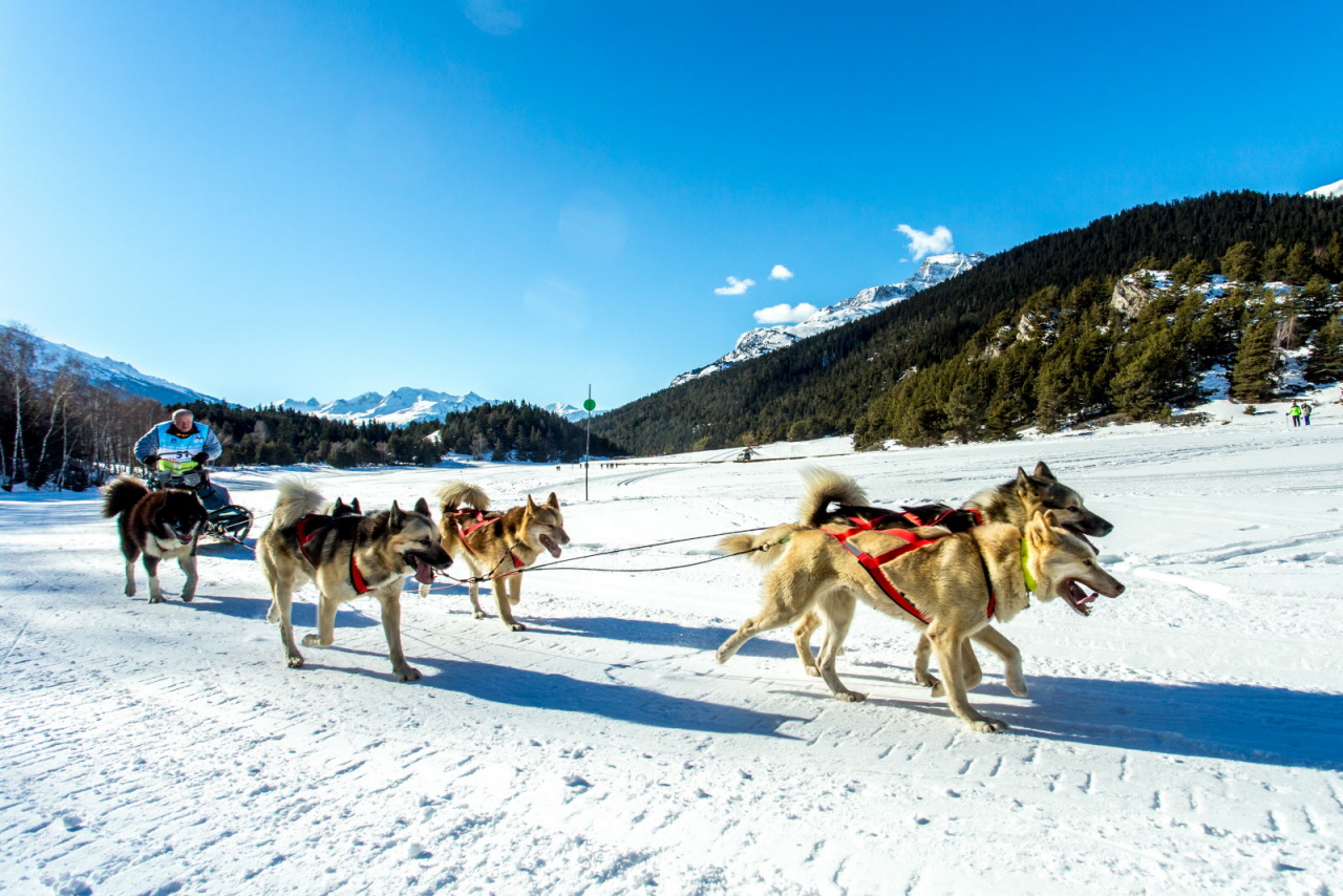 © Vincent Piccerelle