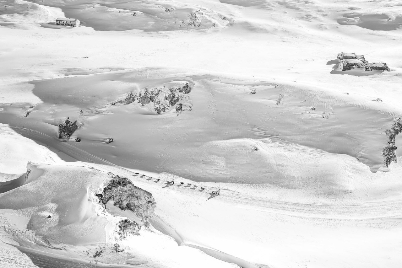 © Vincent Piccerelle