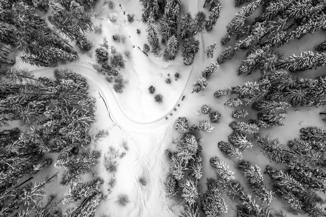 © Vincent Piccerelle