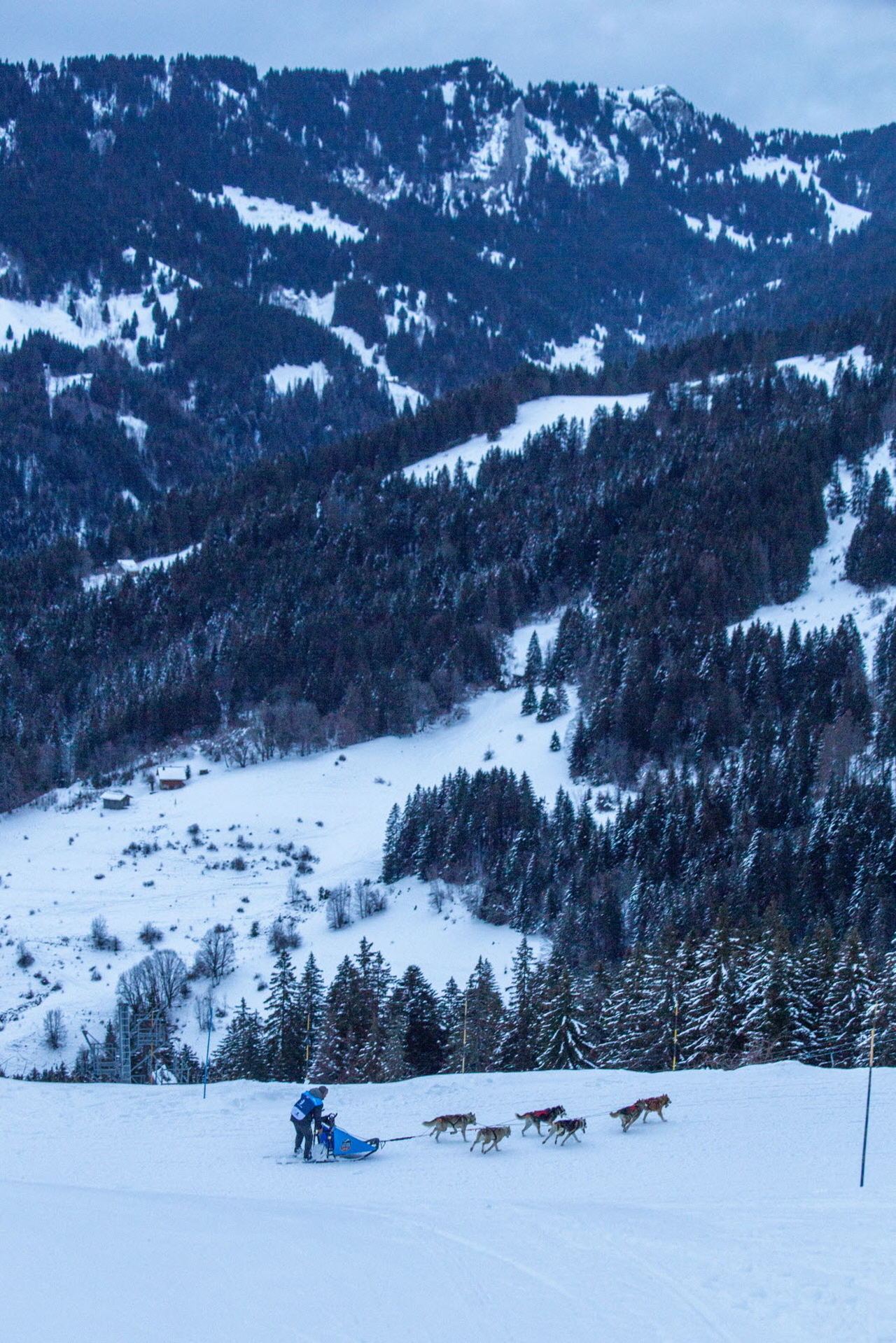 © François-Xavier Repellin