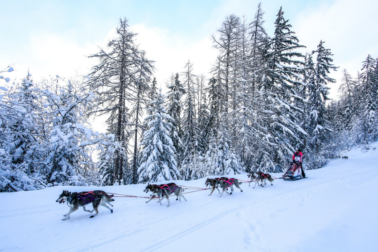 © Vincent Piccerelle