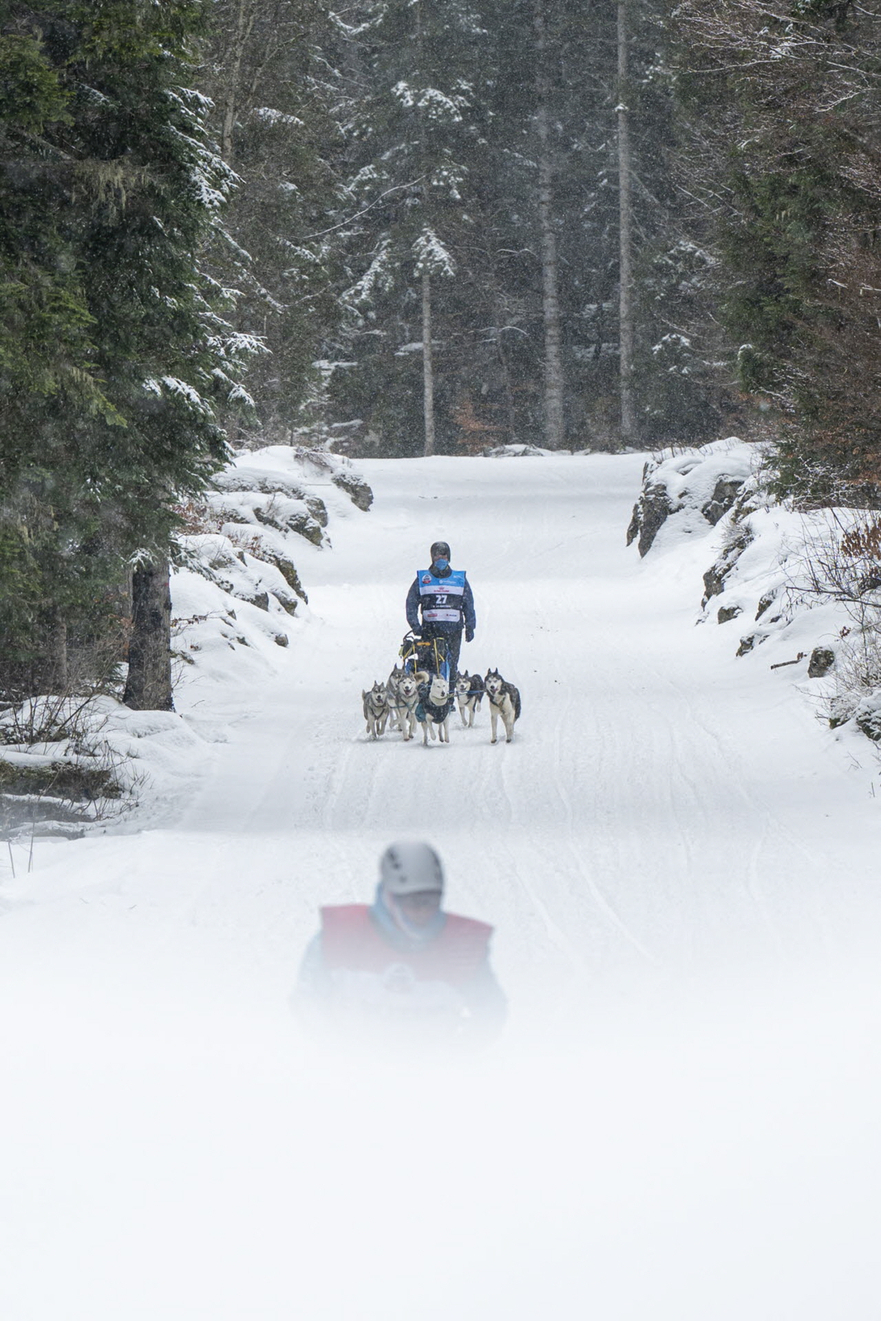 Presse LGO26 - 22.01.26 - Benoit Diacre - 9.jpg