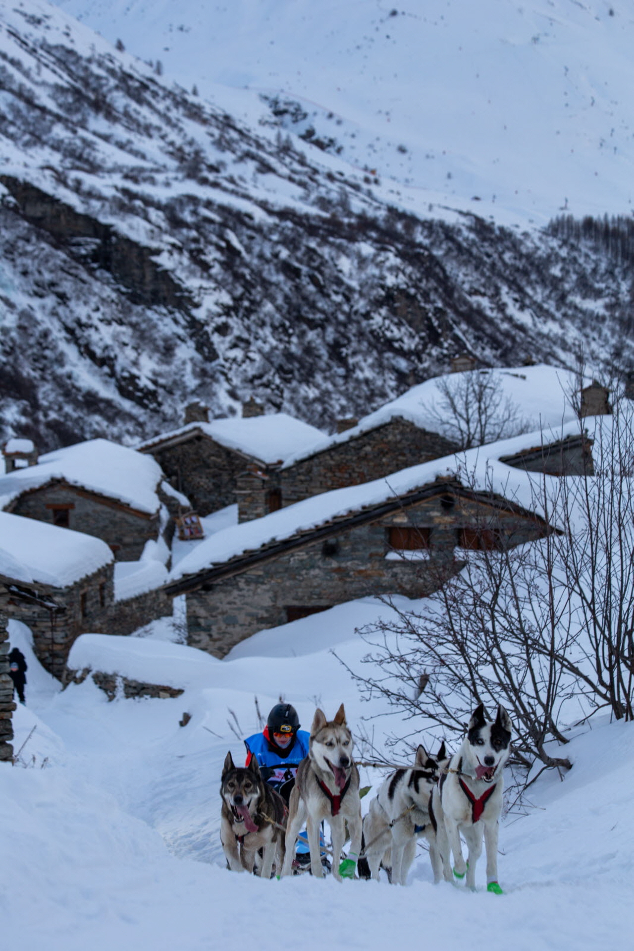 © François-Xavier REPELLIN