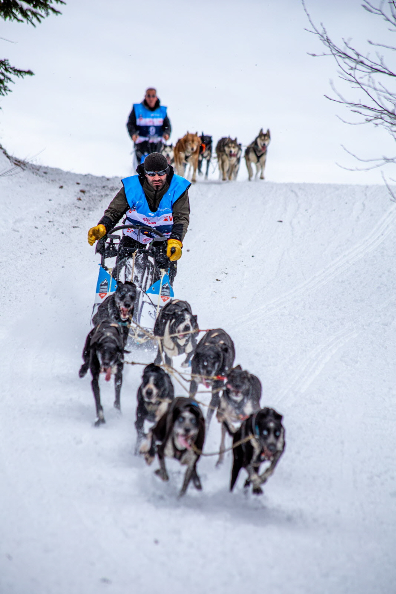 © François-Xavier Repellin