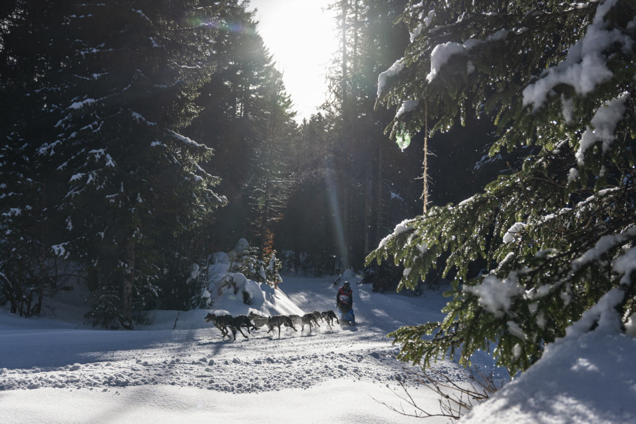 Presse LGO26 - 13.01.26 - Benoit Diacre - 35.jpg