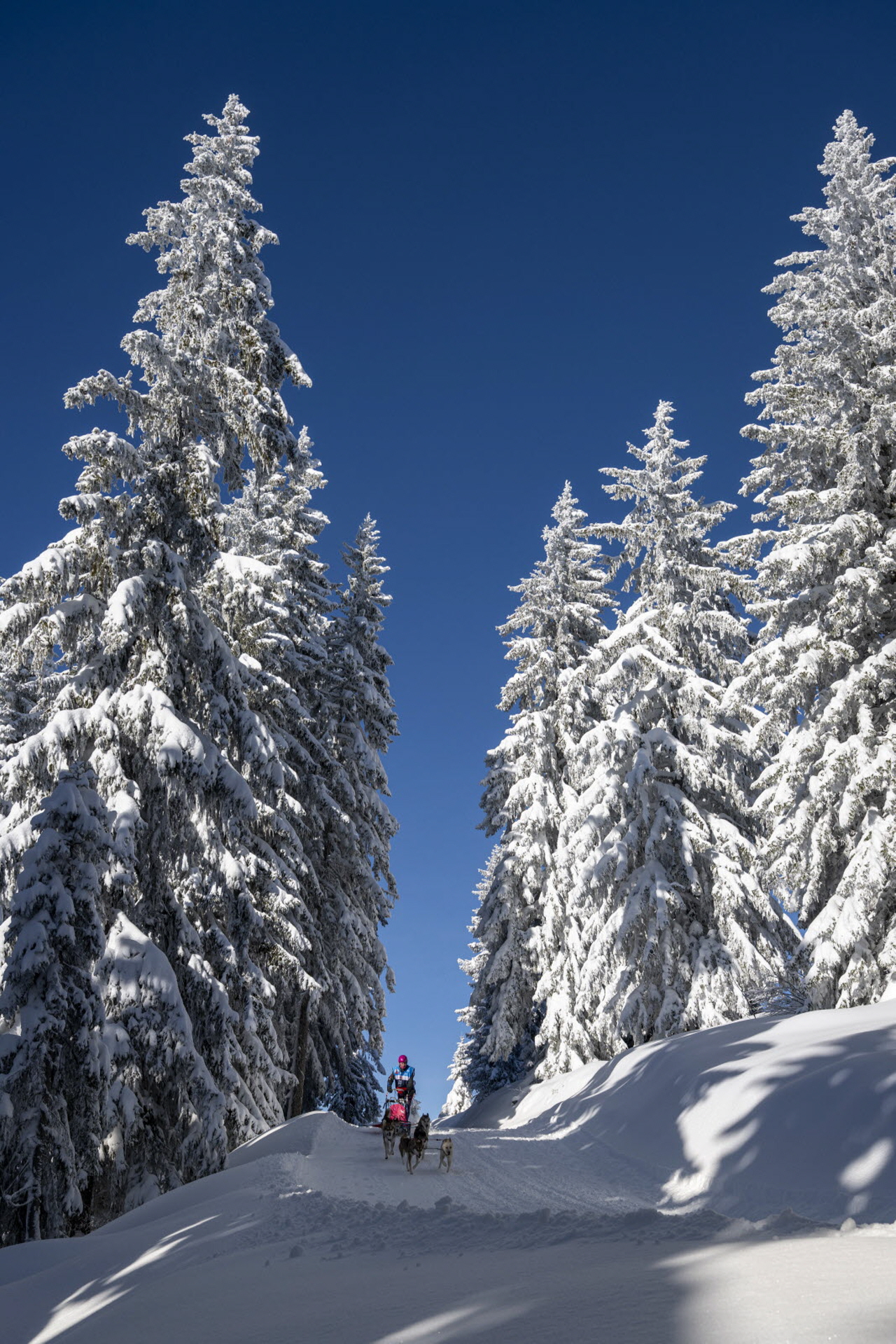 Presse LGO26 - 11.01.26 - Benoit Diacre - 11.jpg