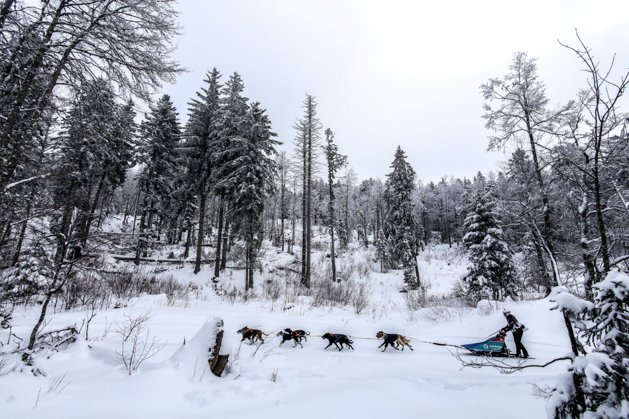 © Vincent Piccerelle