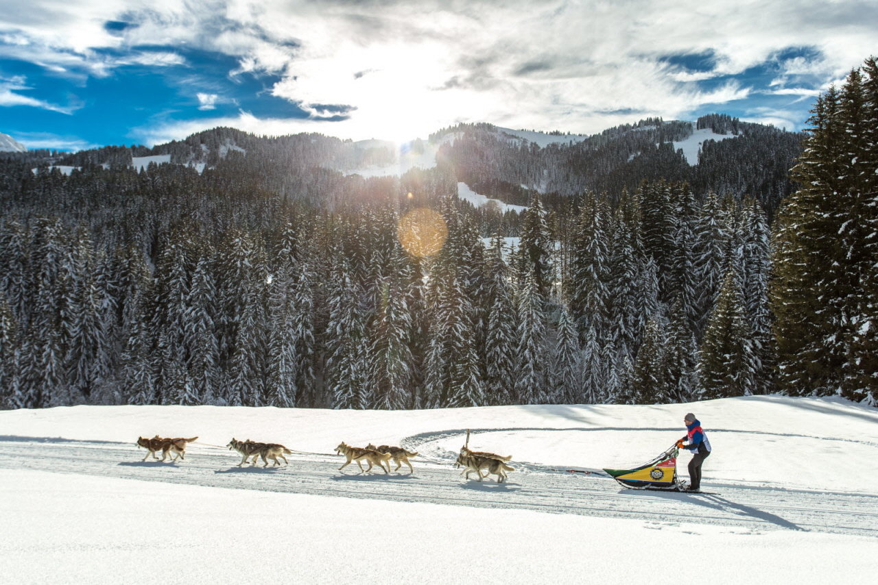 © Vincent Piccerelle