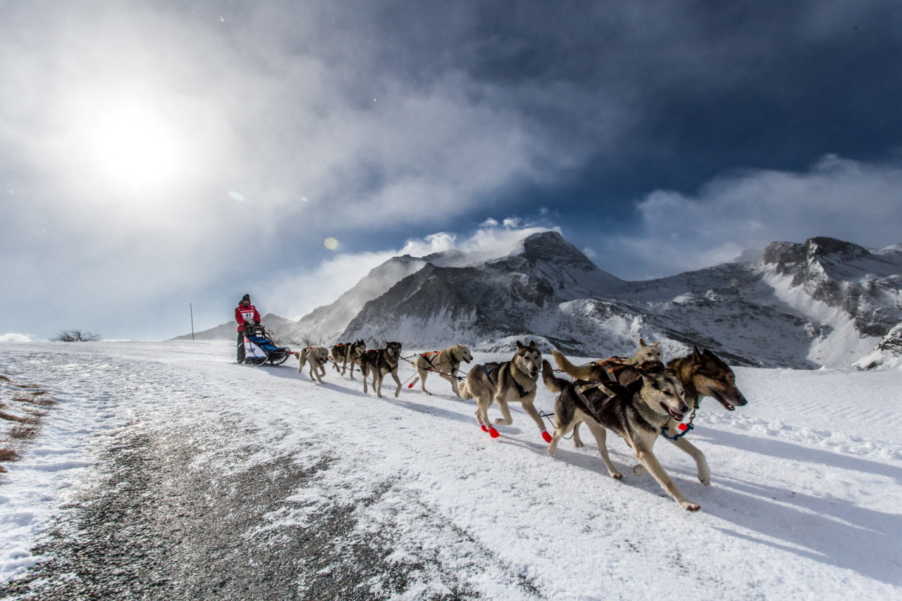 © Vincent Piccerelle