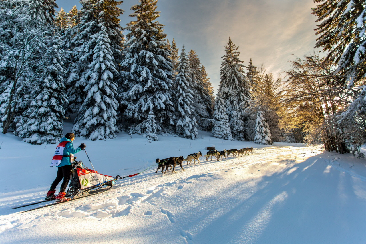 © Vincent Piccerelle