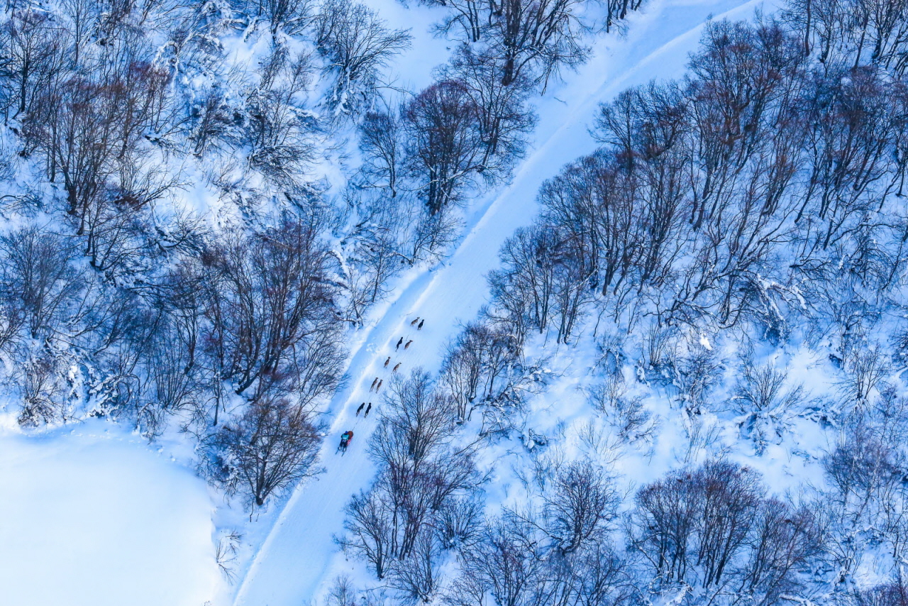 © Vincent Piccerelle