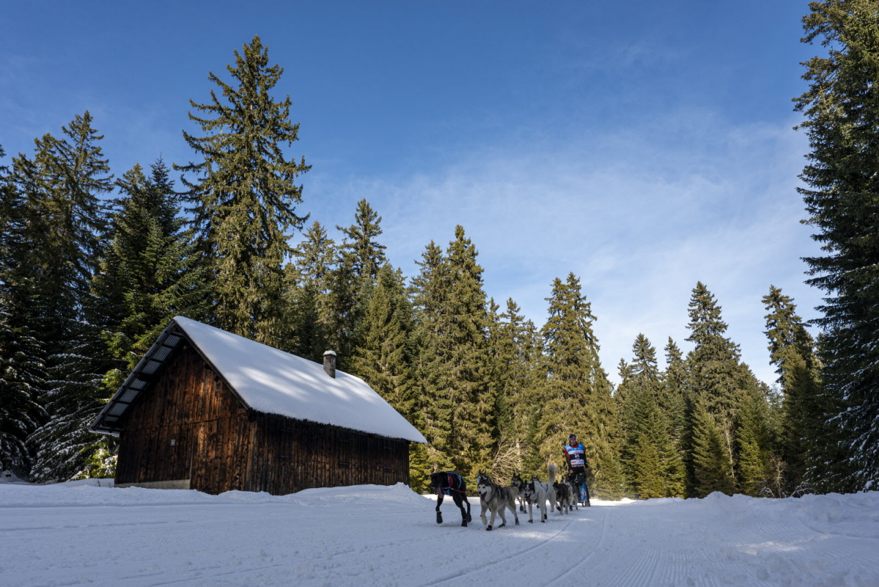 Presse LGO26 - 13.01.26 - Benoit Diacre - 53.jpg