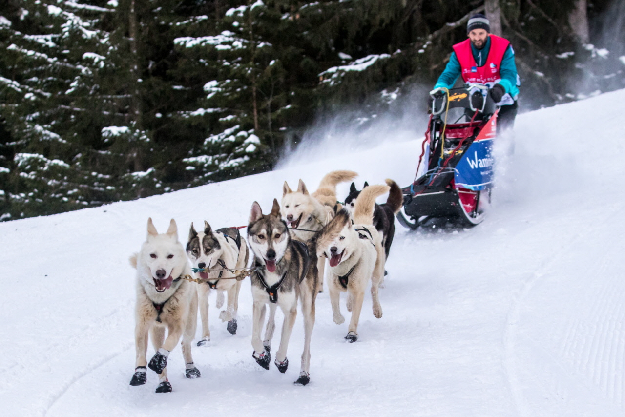 © Vincent Piccerelle