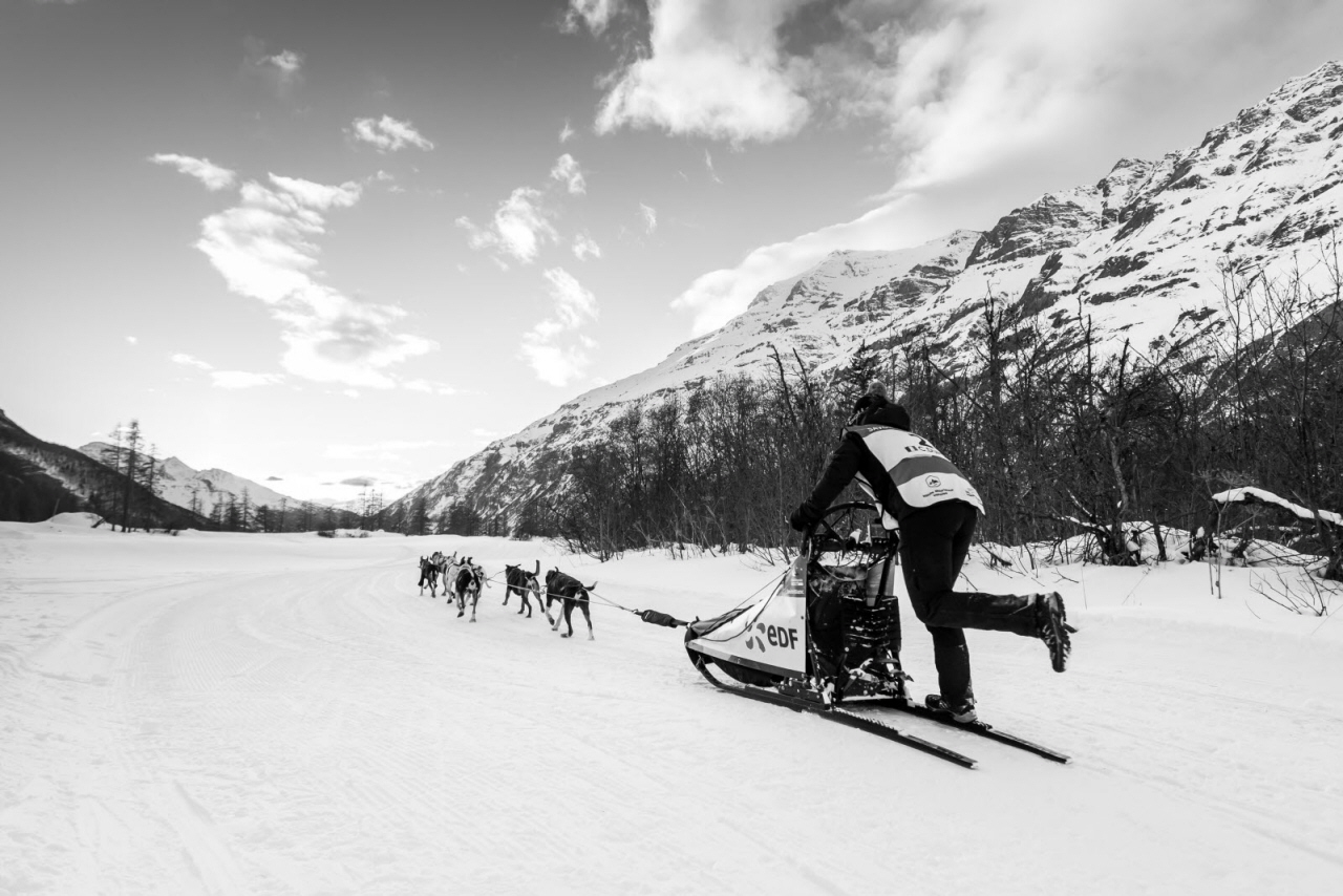 © Vincent Piccerelle