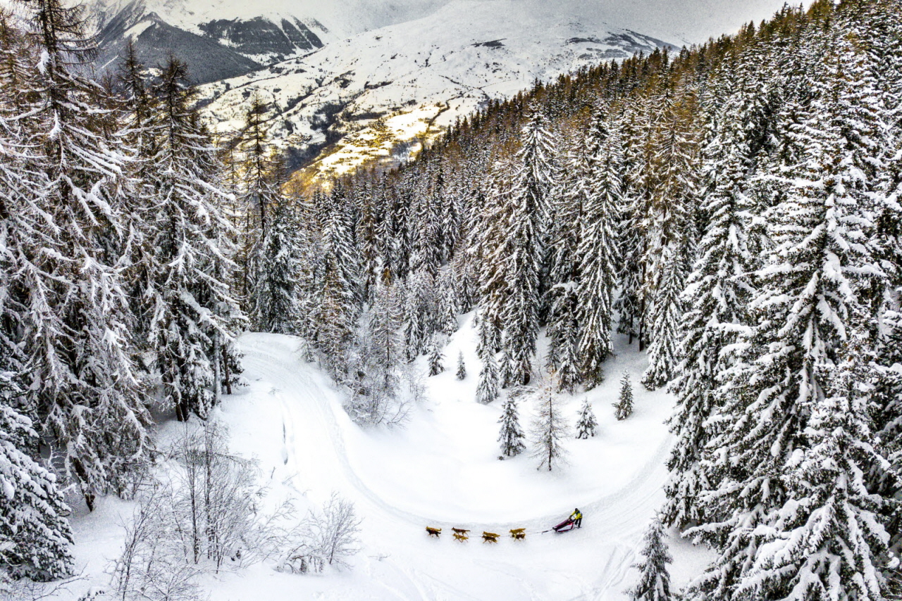 © Vincent Piccerelle