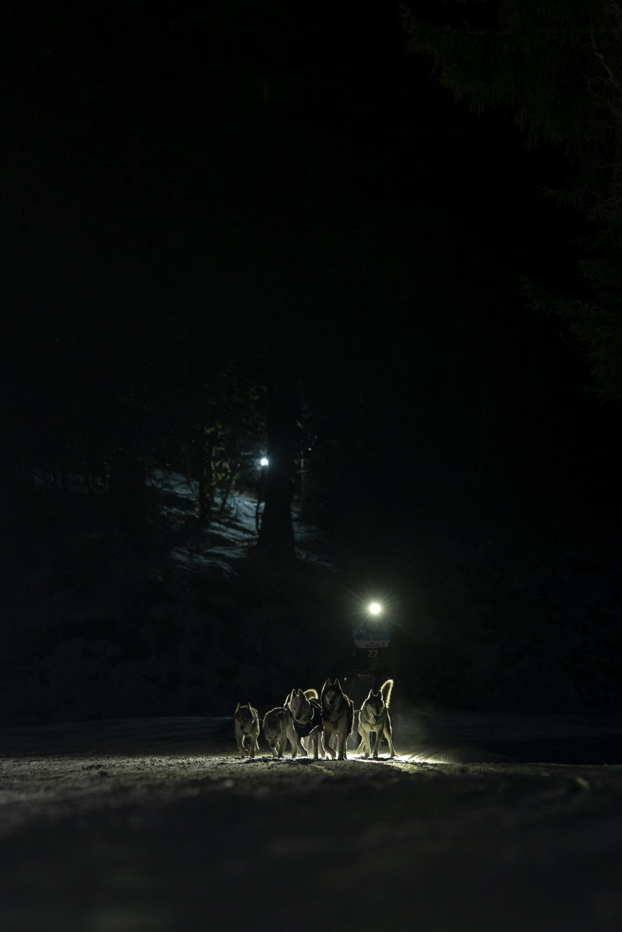 Presse LGO26 - 12.01.26 - Benoit Diacre - 14.jpg