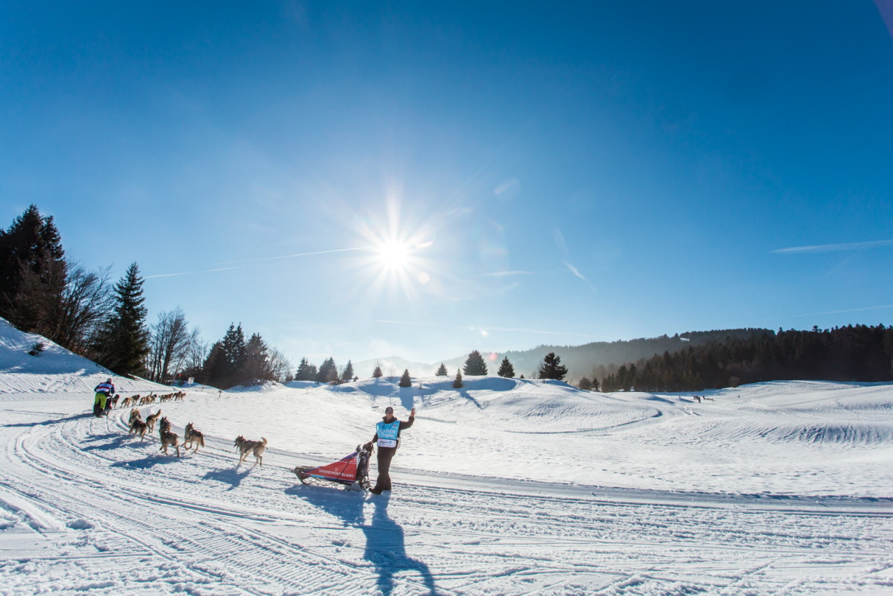 © Vincent Piccerelle