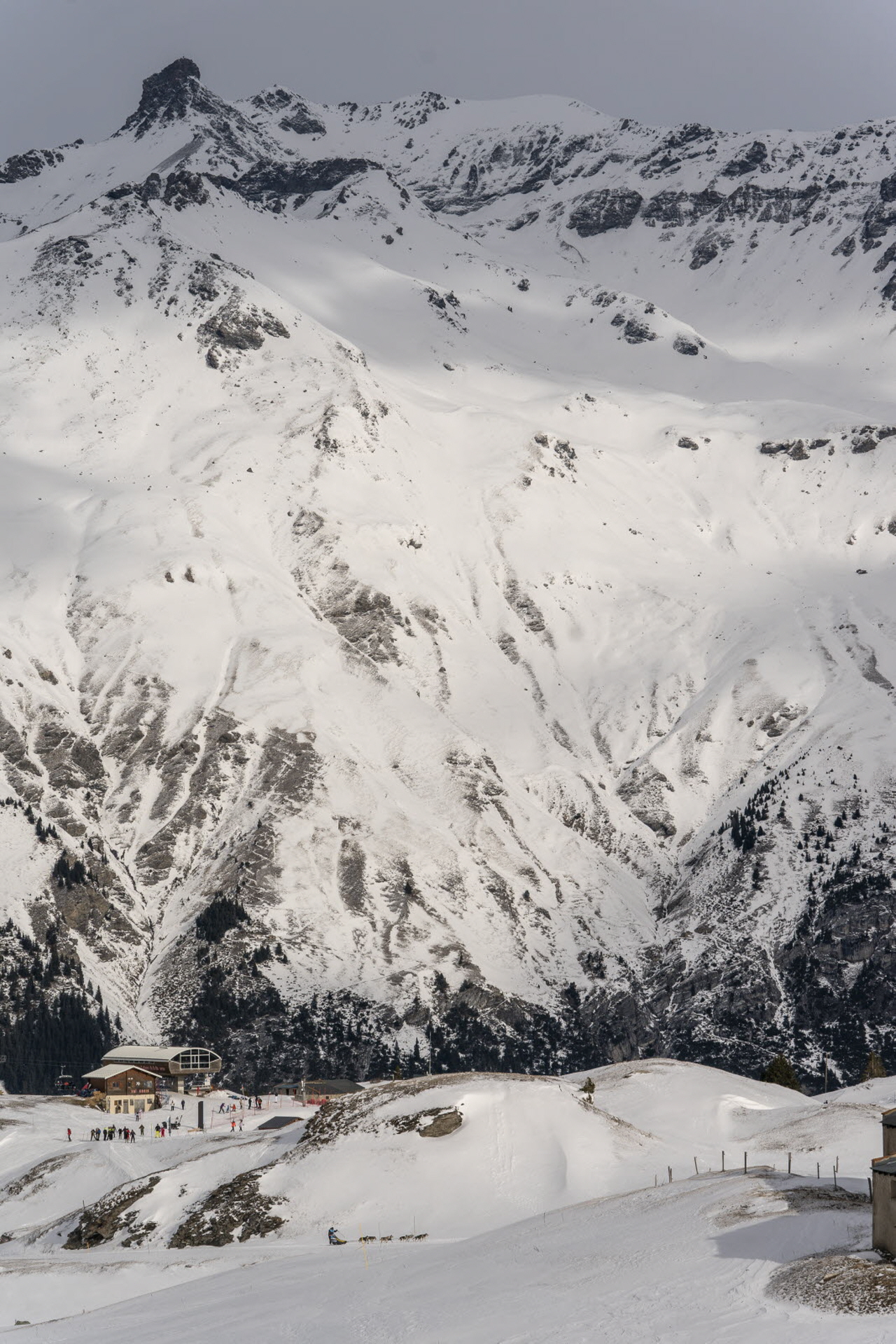 © Romain Tissot