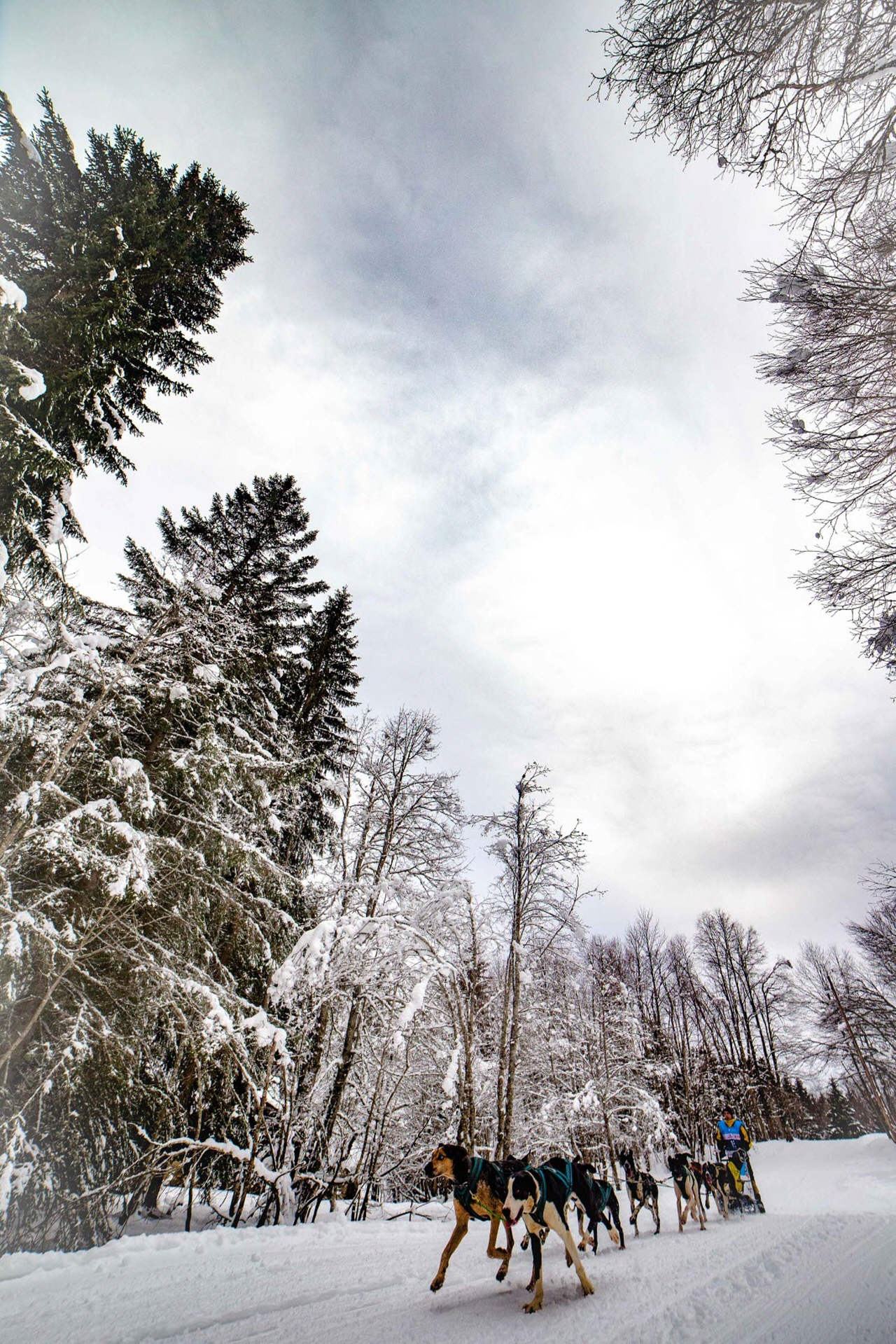 © François-Xavier Repellin