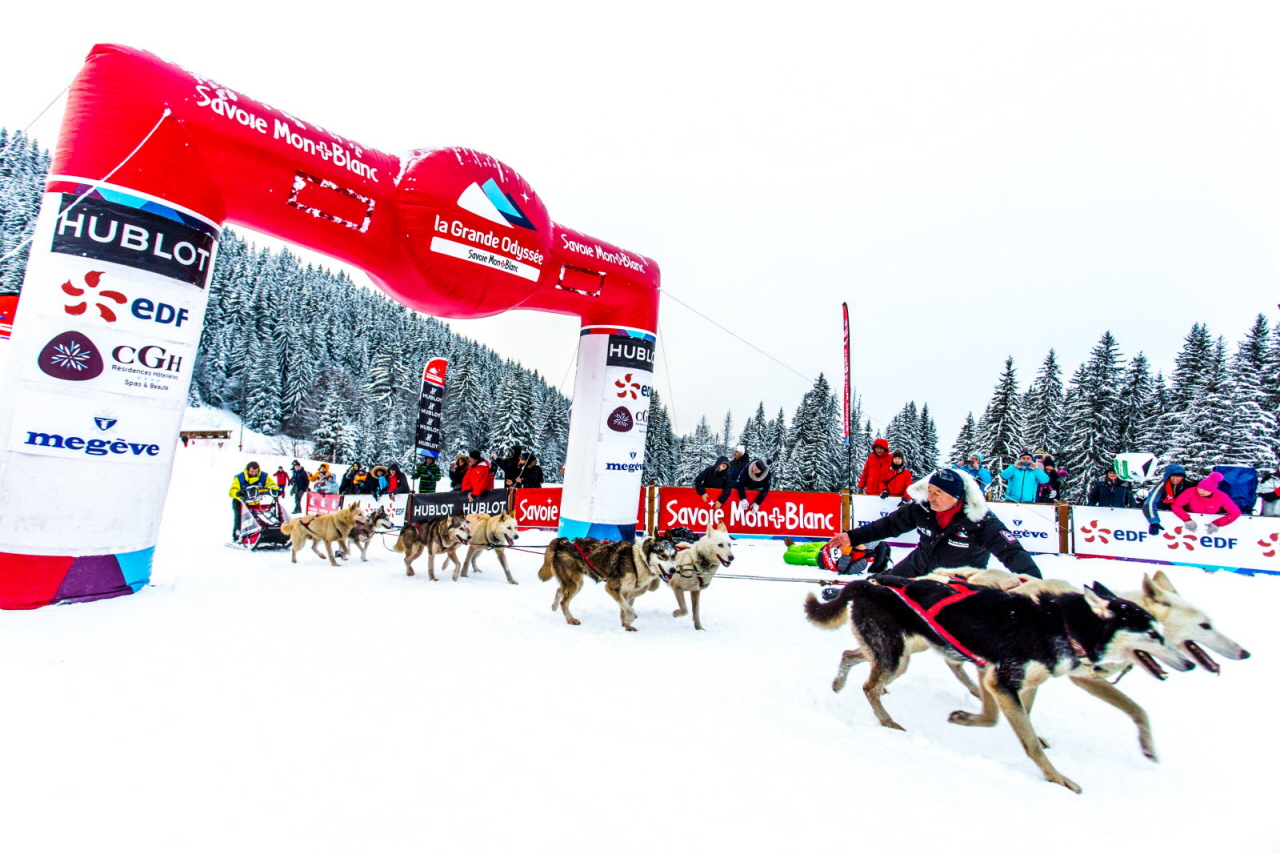 © Vincent Piccerelle