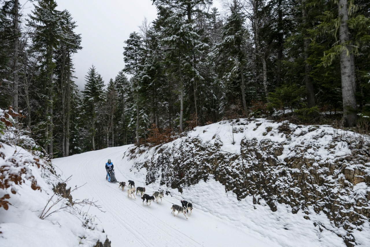 Presse LGO26 - 22.01.26 - Benoit Diacre - 1.jpg