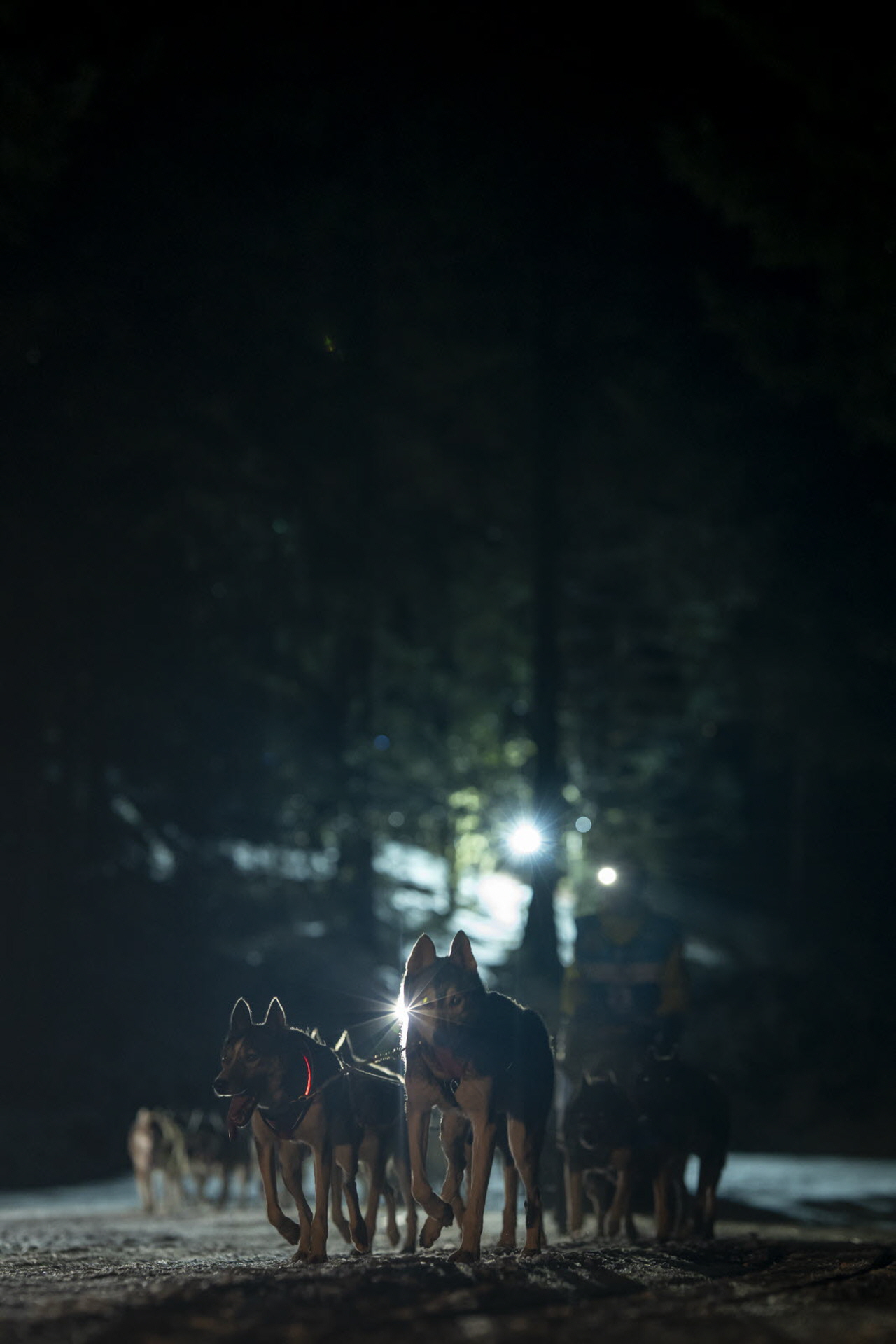 Presse LGO26 - 12.01.26 - Benoit Diacre - 17.jpg