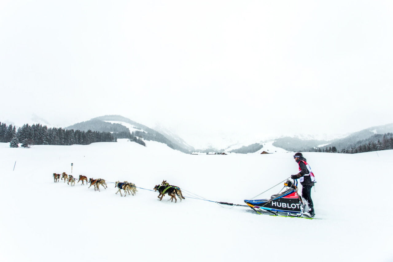 © Vincent Piccerelle