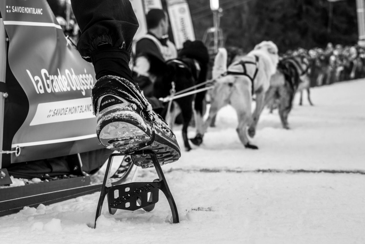 © Vincent Piccerelle