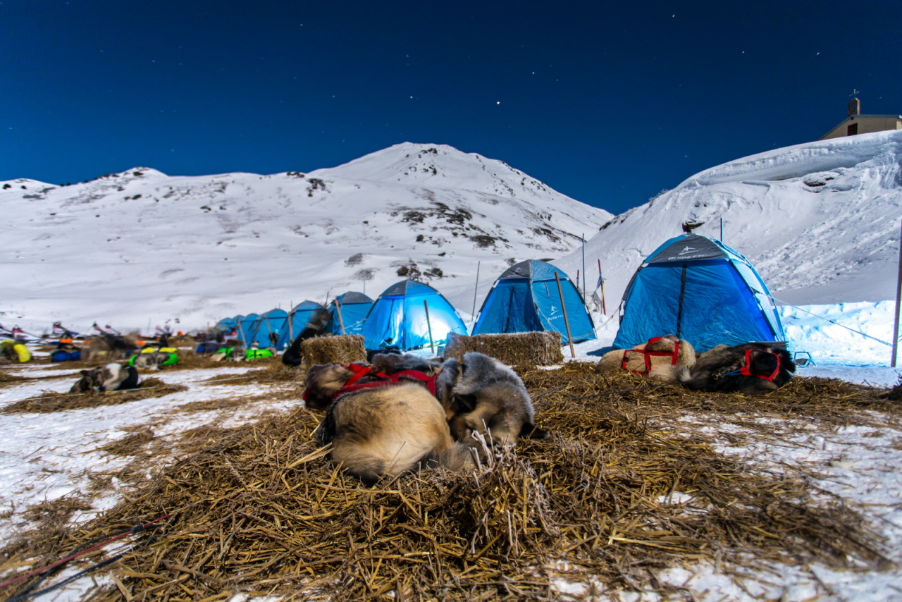 © Vincent Piccerelle