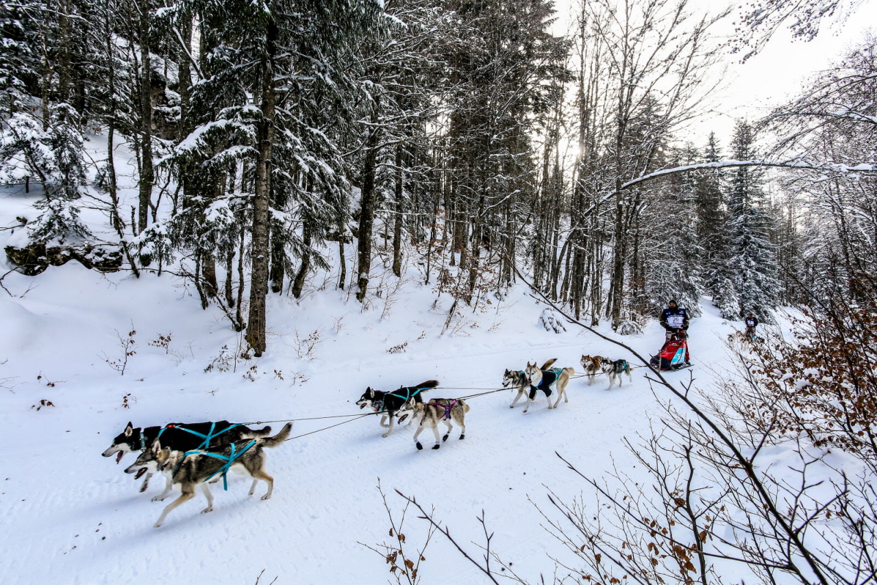 © Vincent Piccerelle