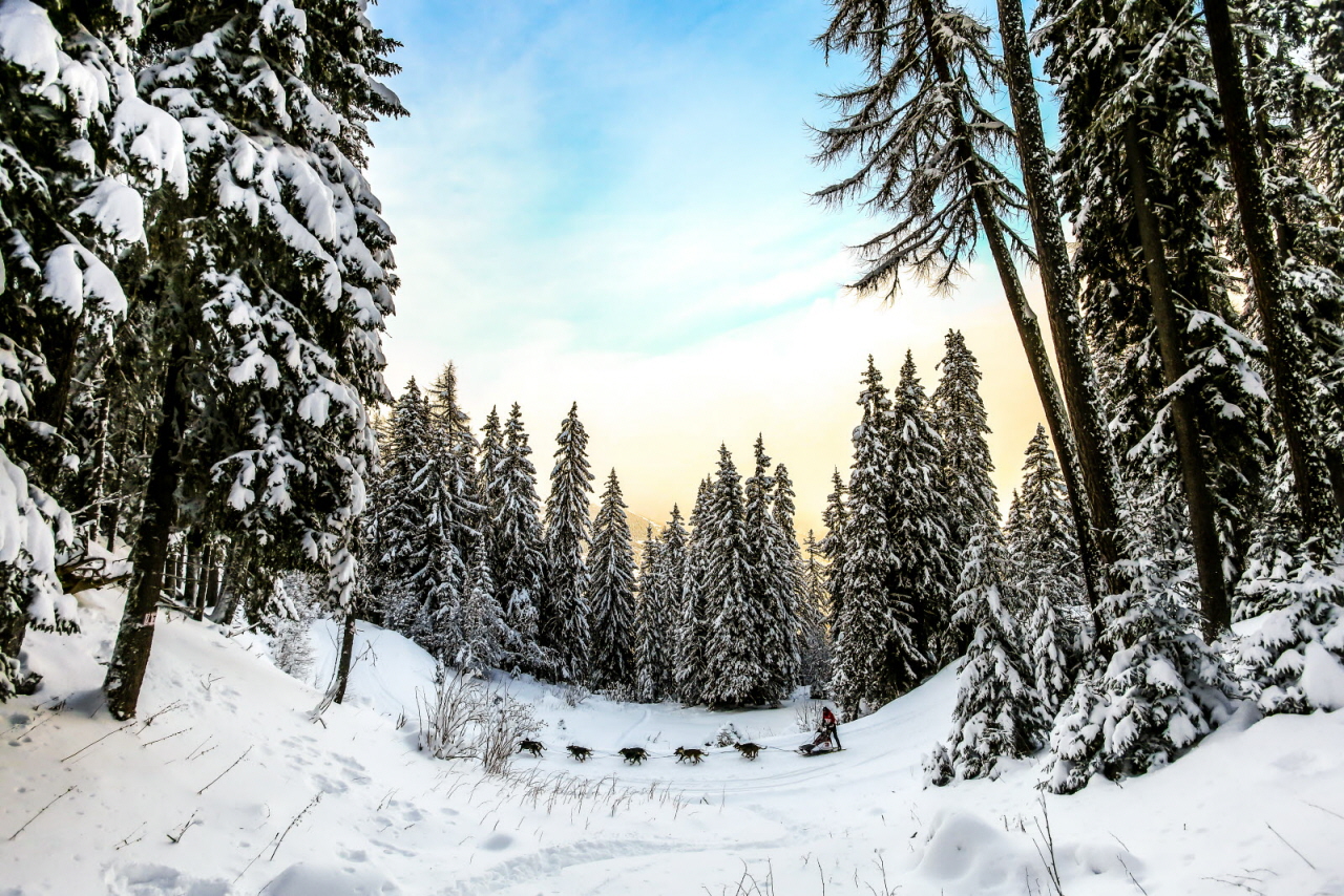 © Vincent Piccerelle