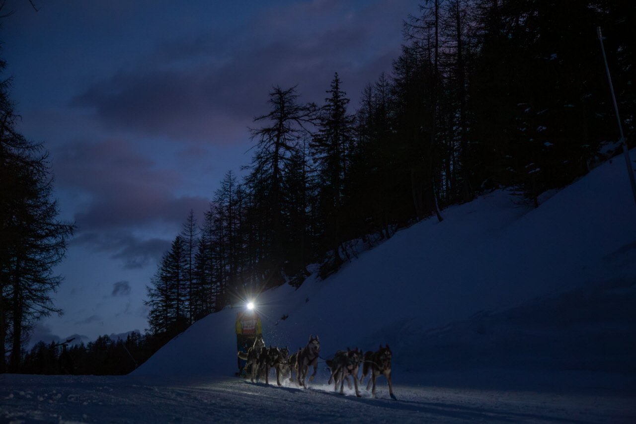 © François-Xavier REPELLIN