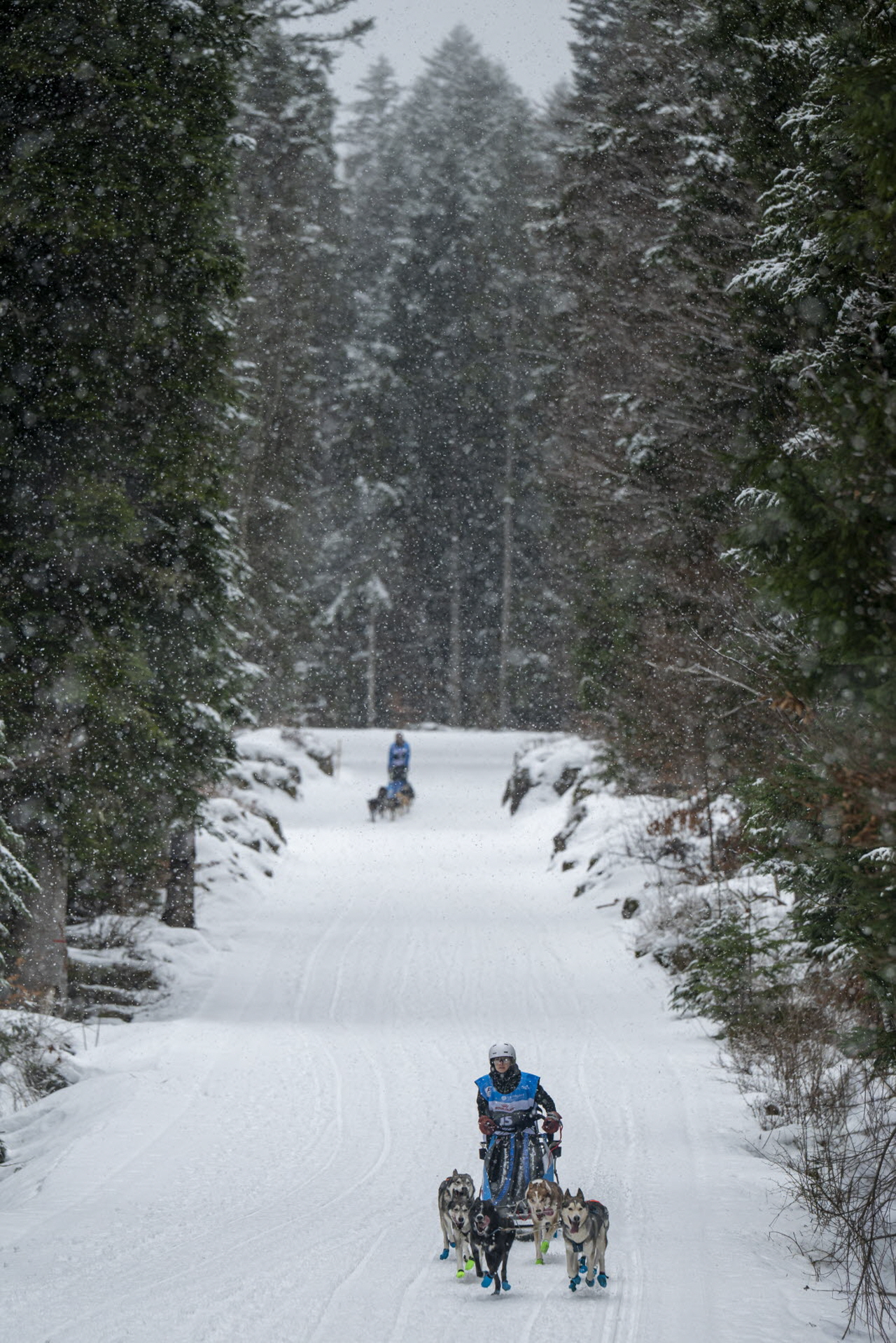 Presse LGO26 - 22.01.26 - Benoit Diacre - 7.jpg