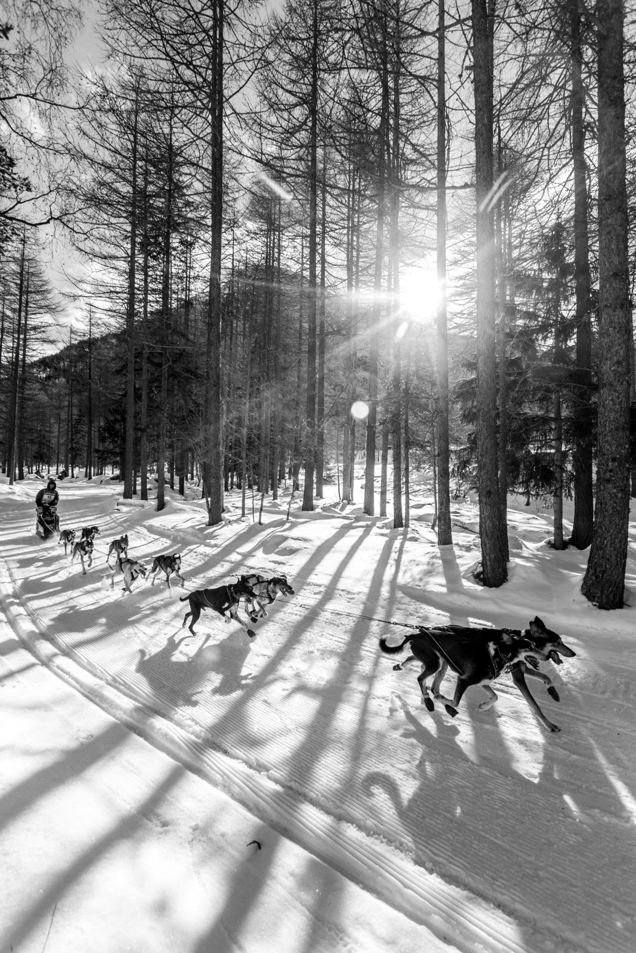 © Vincent Piccerelle