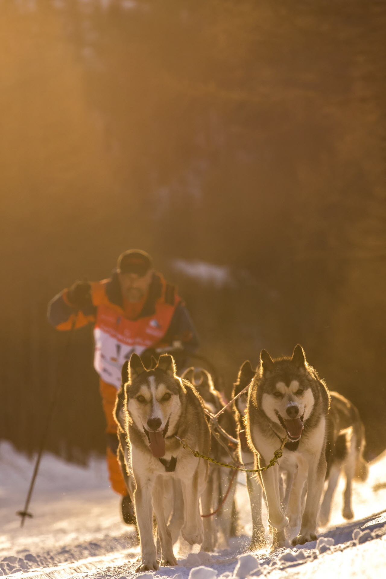 © Vincent Piccerelle