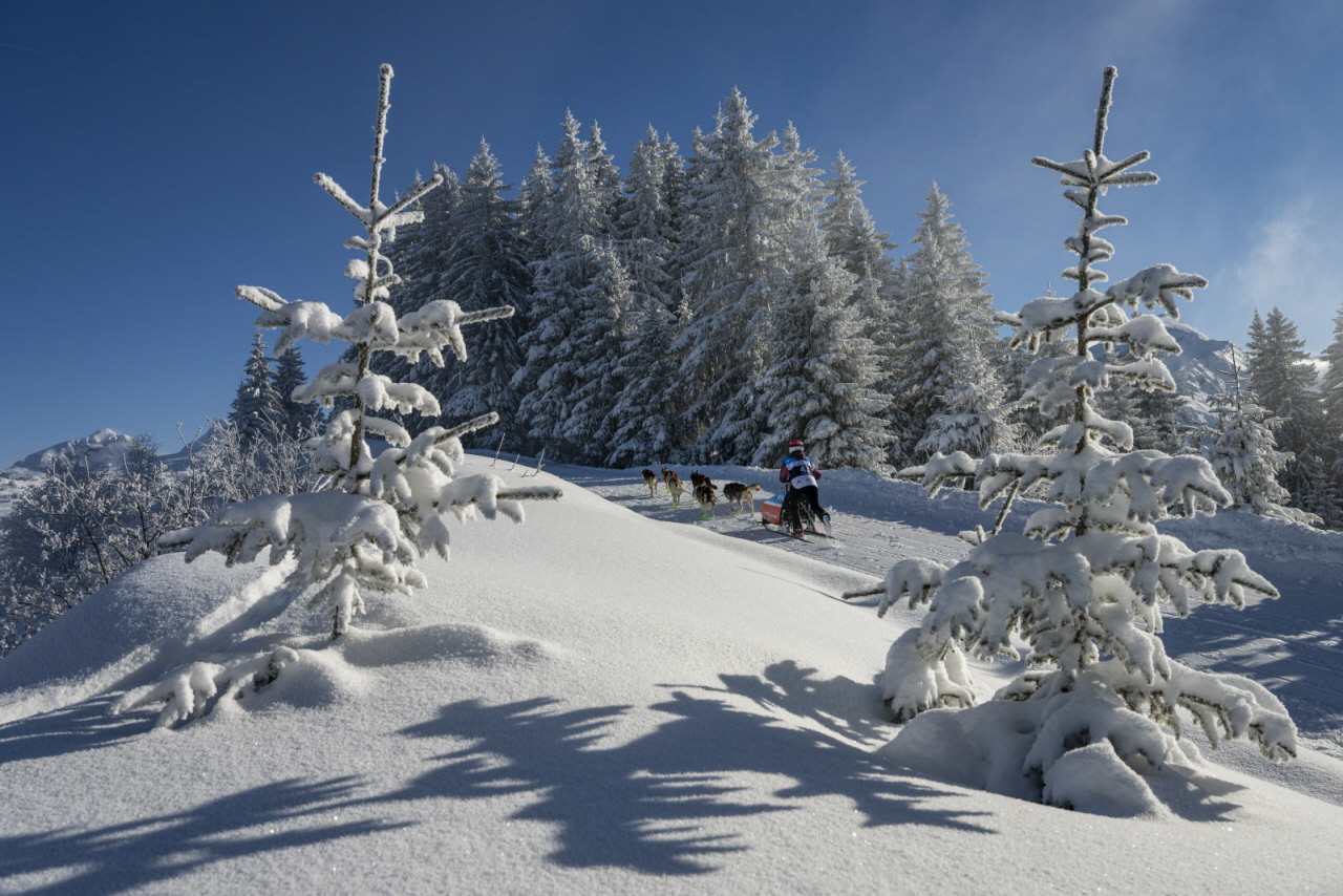 Presse LGO26 - 11.01.26 - Benoit Diacre - 4.jpg