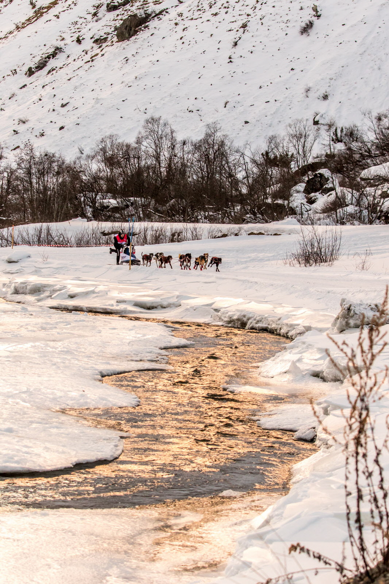 © Vincent Piccerelle