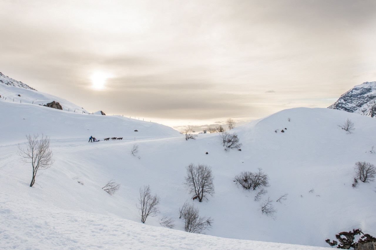 © Benoit Diacre