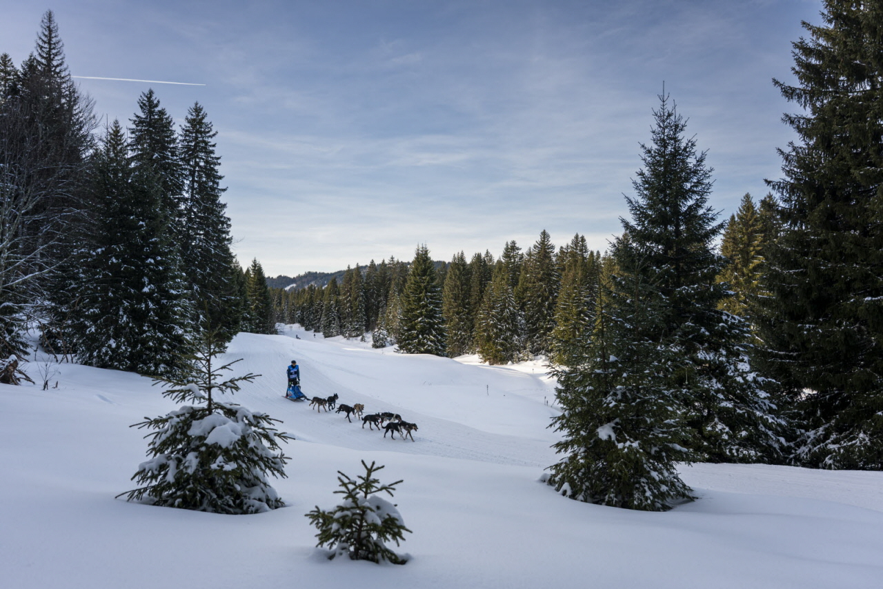 Presse LGO26 - 13.01.26 - Benoit Diacre - 7.jpg