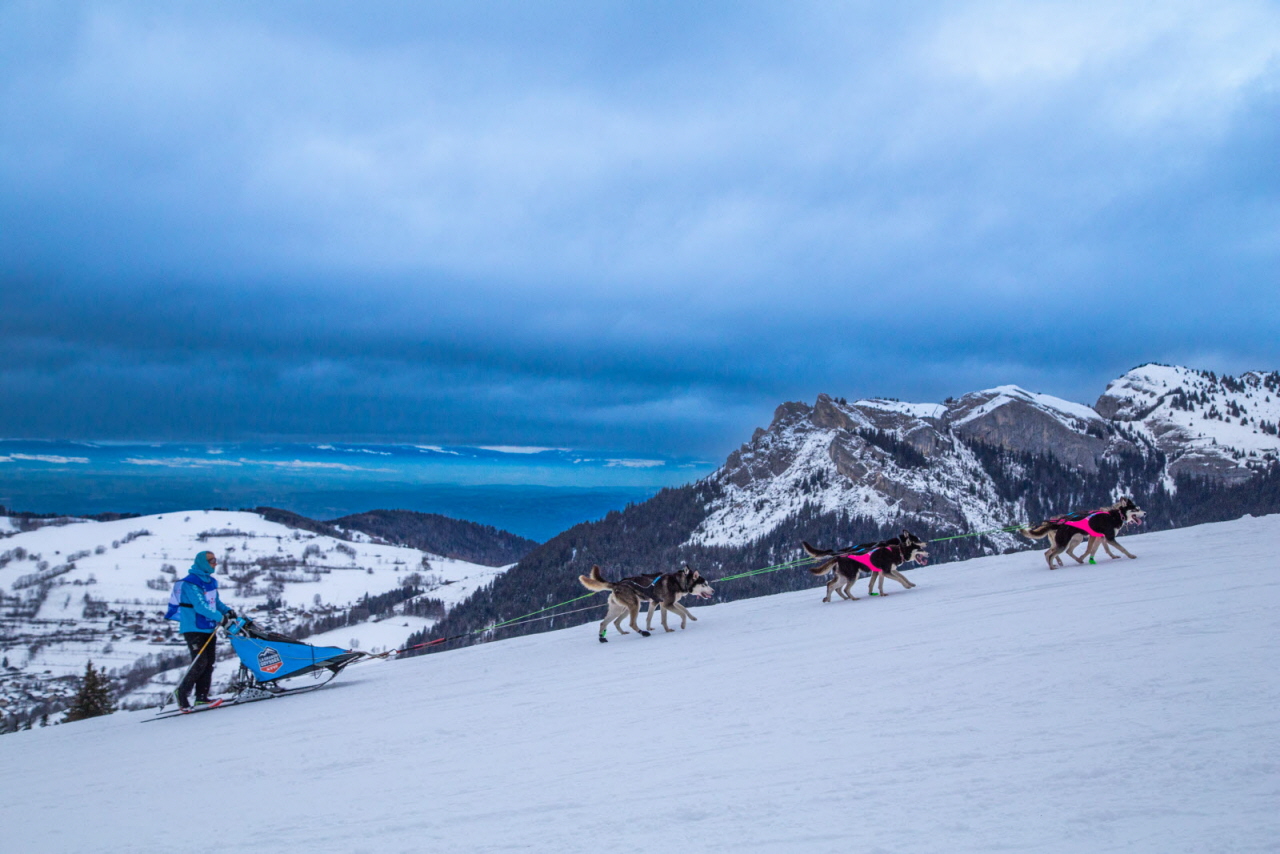 © François-Xavier Repellin