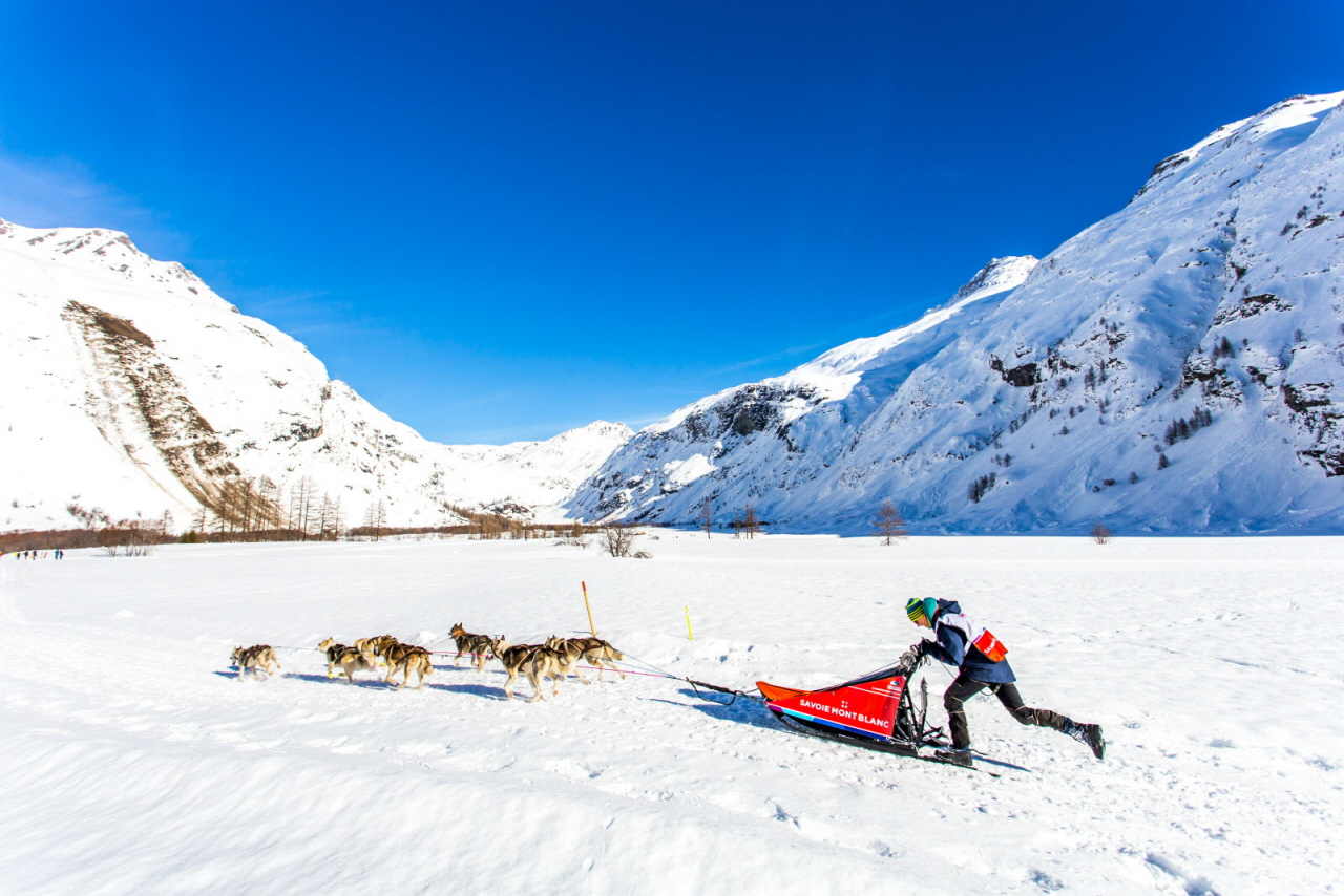 © Vincent Piccerelle