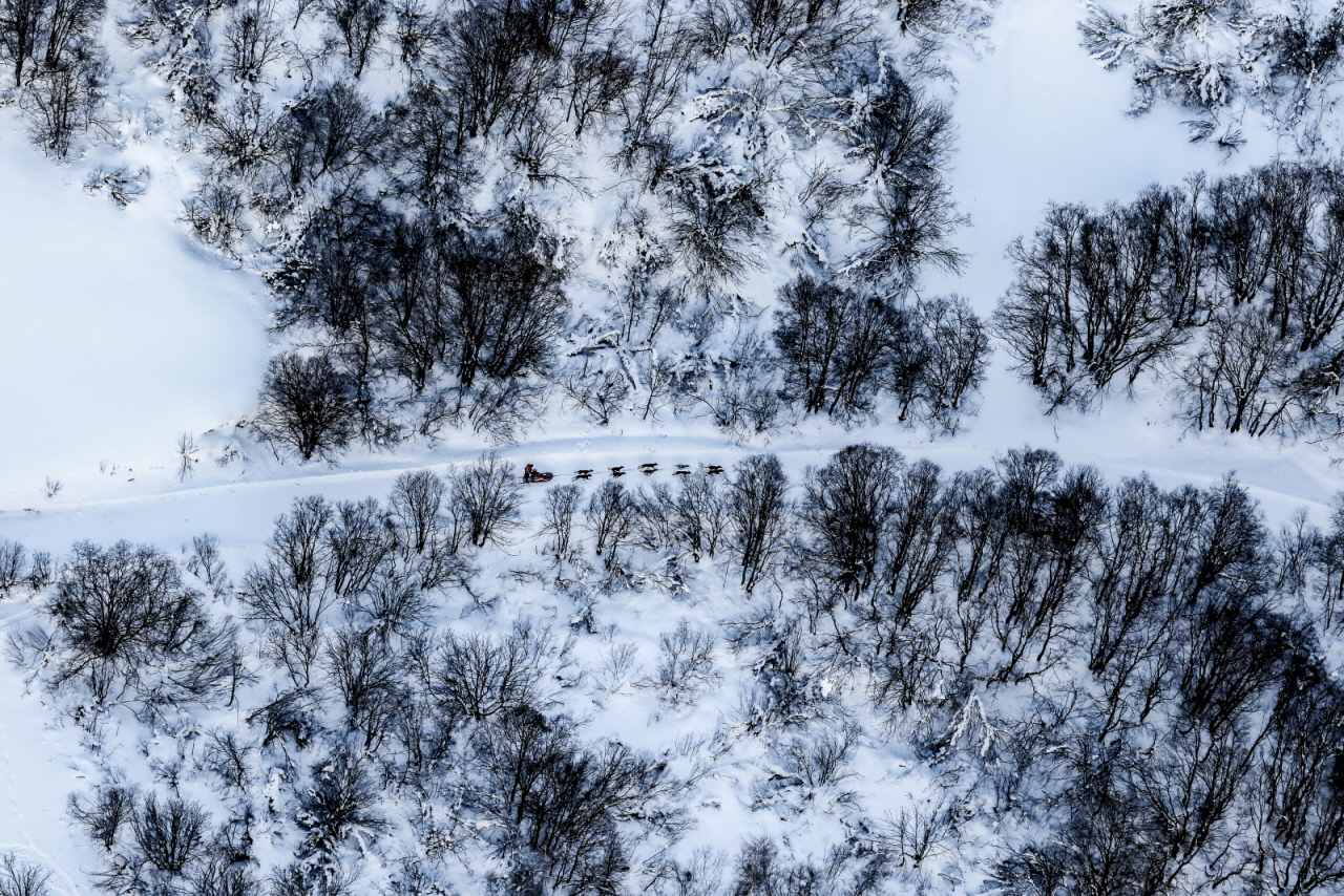 © Vincent Piccerelle