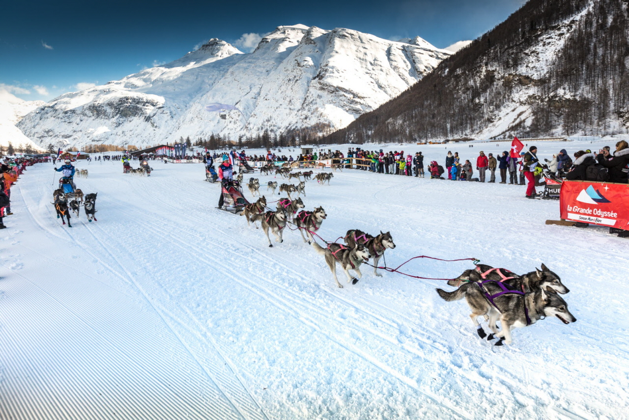 © Nathalie Allilaire