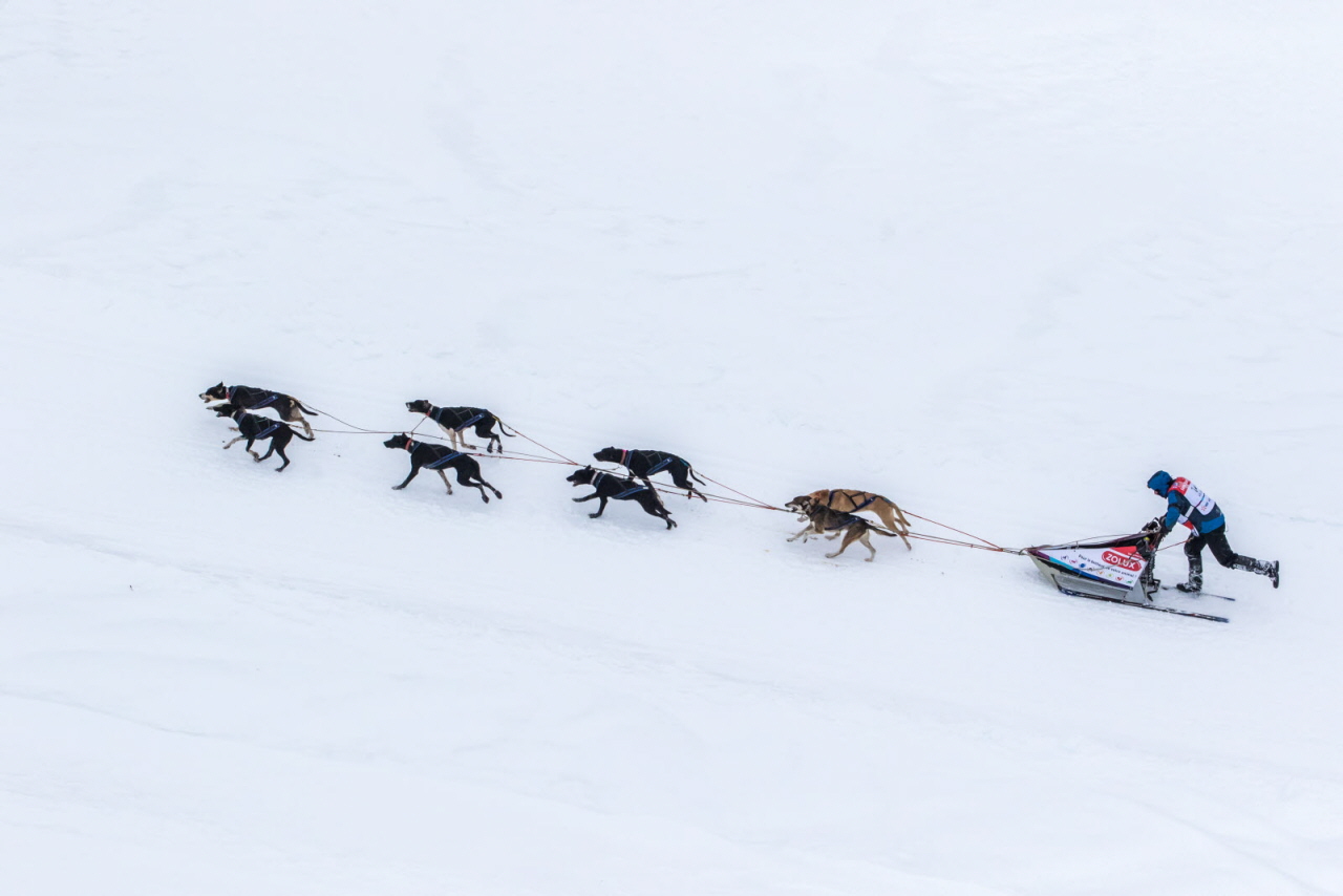 © Vincent Piccerelle