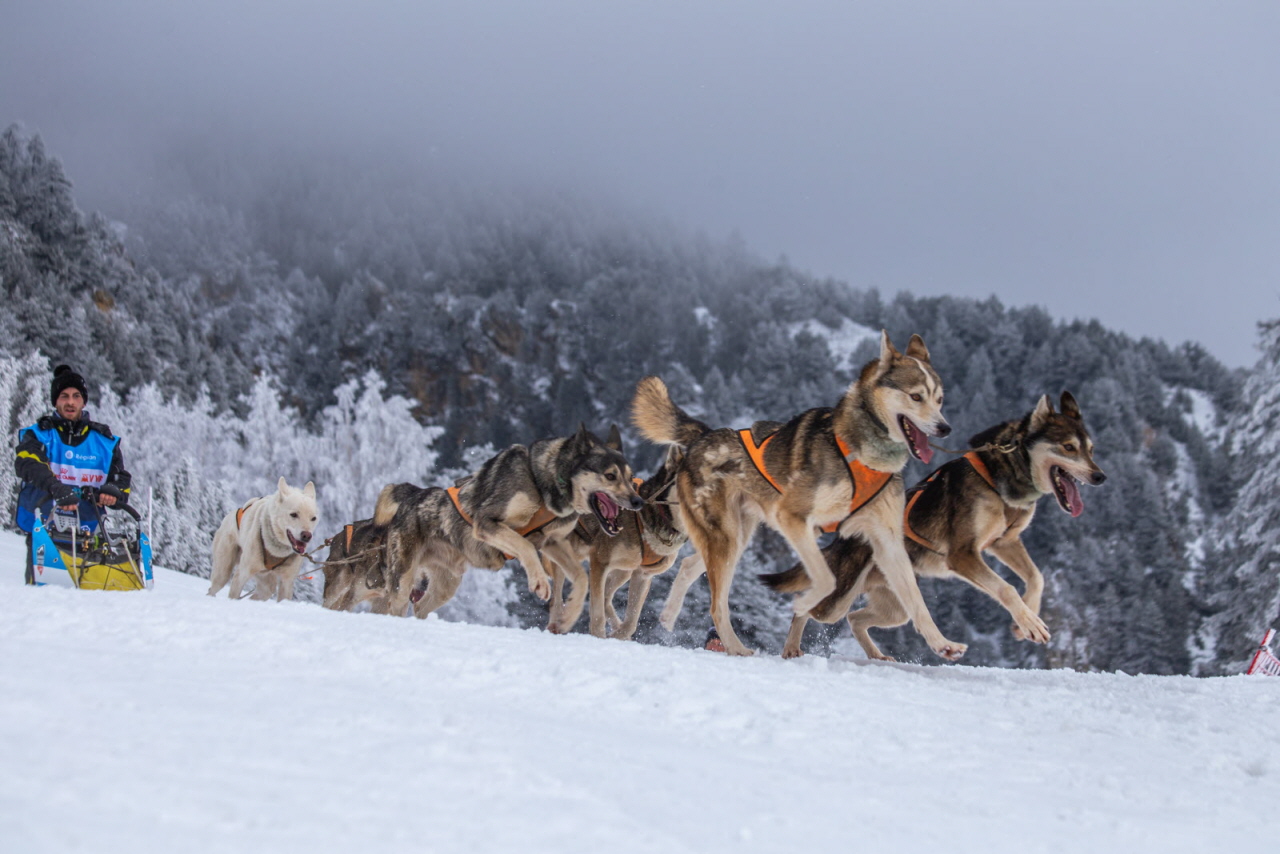 © François-Xavier Repellin