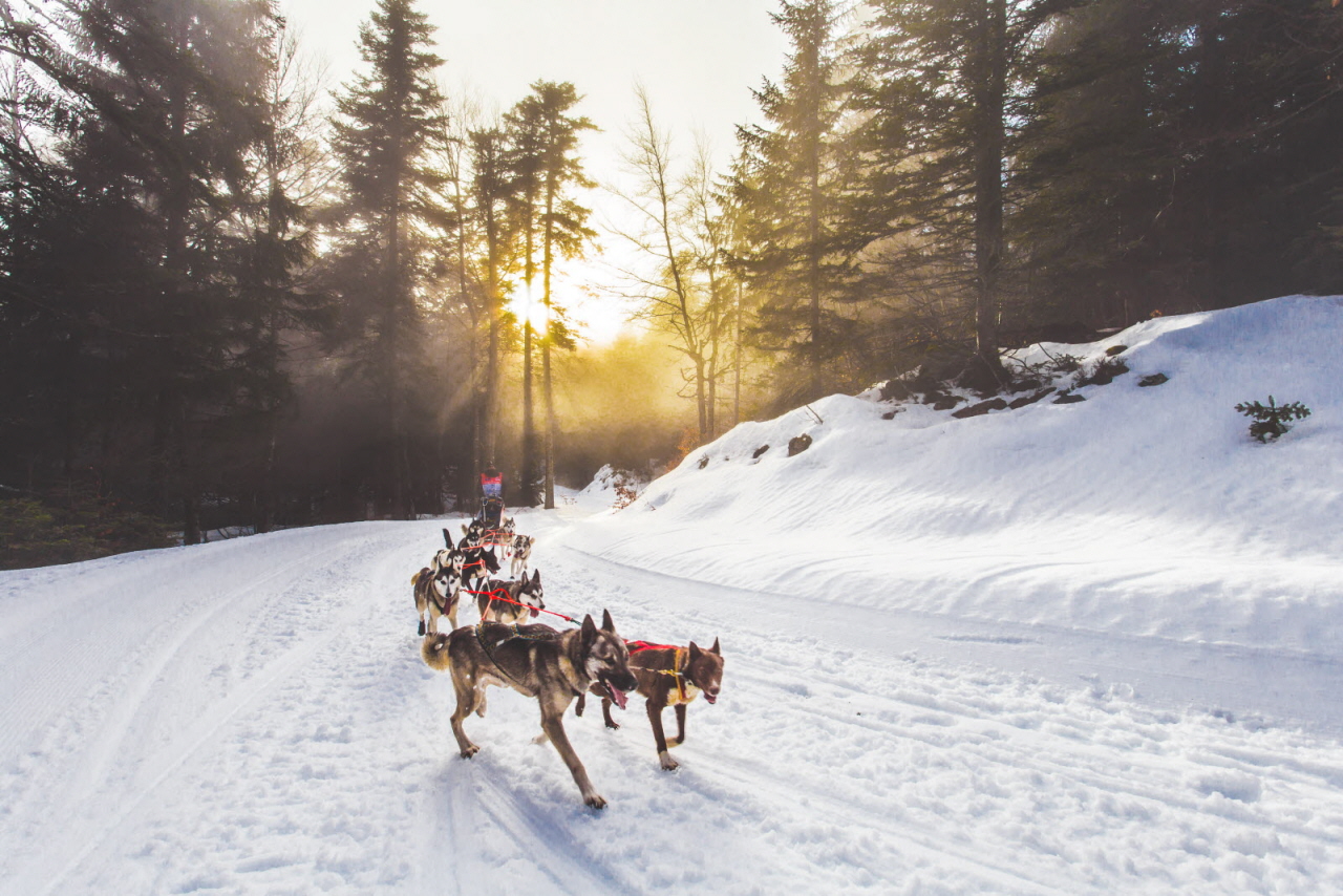 © Vincent Piccerelle